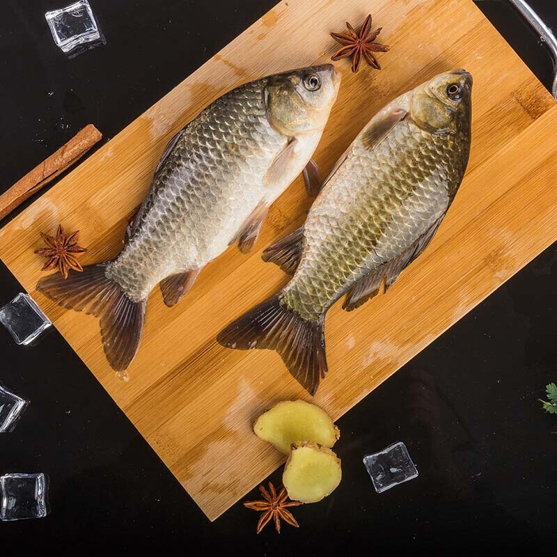 新鲜鲫鱼一条 售出概不退换约500g/份