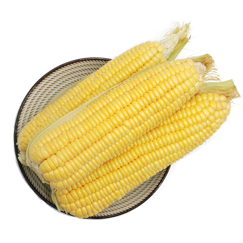 新鲜甜玉米300g/个
