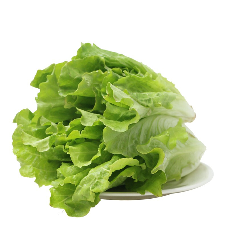 生菜(生财) 叶生菜约500g/份