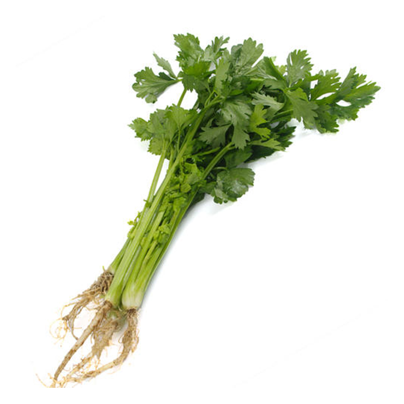 药芹约500g/份【同城配送】