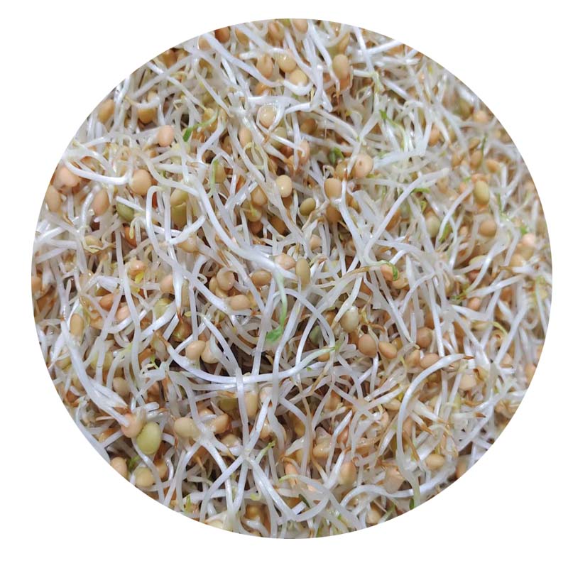 冰豆芽约250g/份【同城配送】