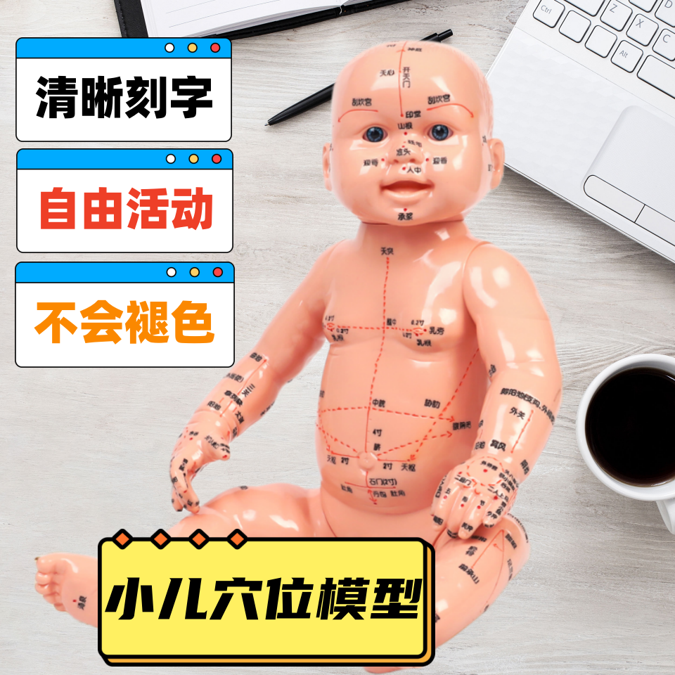 小儿针灸模型人体模型小皮人家政月嫂培训模型软材质人体穴位模型