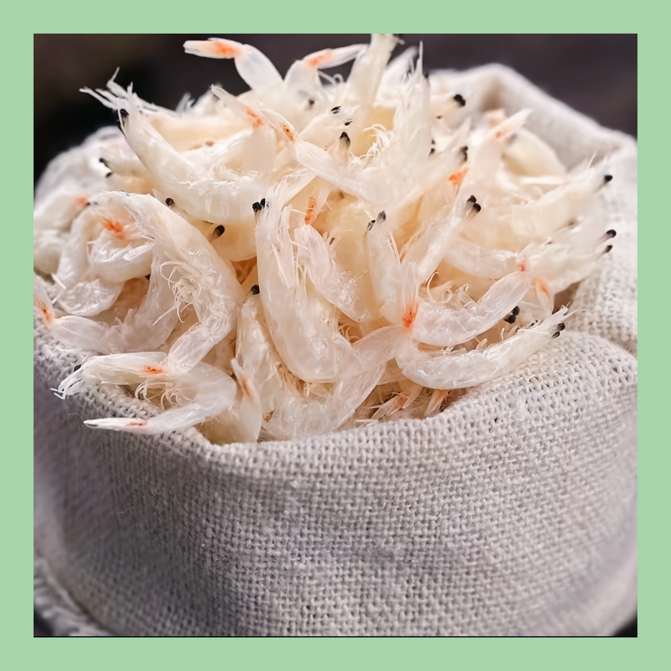 【马鲛仔海产】优质虾皮 精选淡干虾皮 海米 干净新鲜 250g/500g