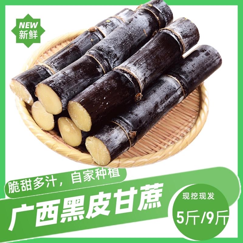 广西柳州老品种黑皮水果甘蔗5/9斤现挖现发产地直发