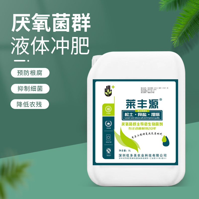 莱丰源 厌氧菌微生物菌剂  菌液