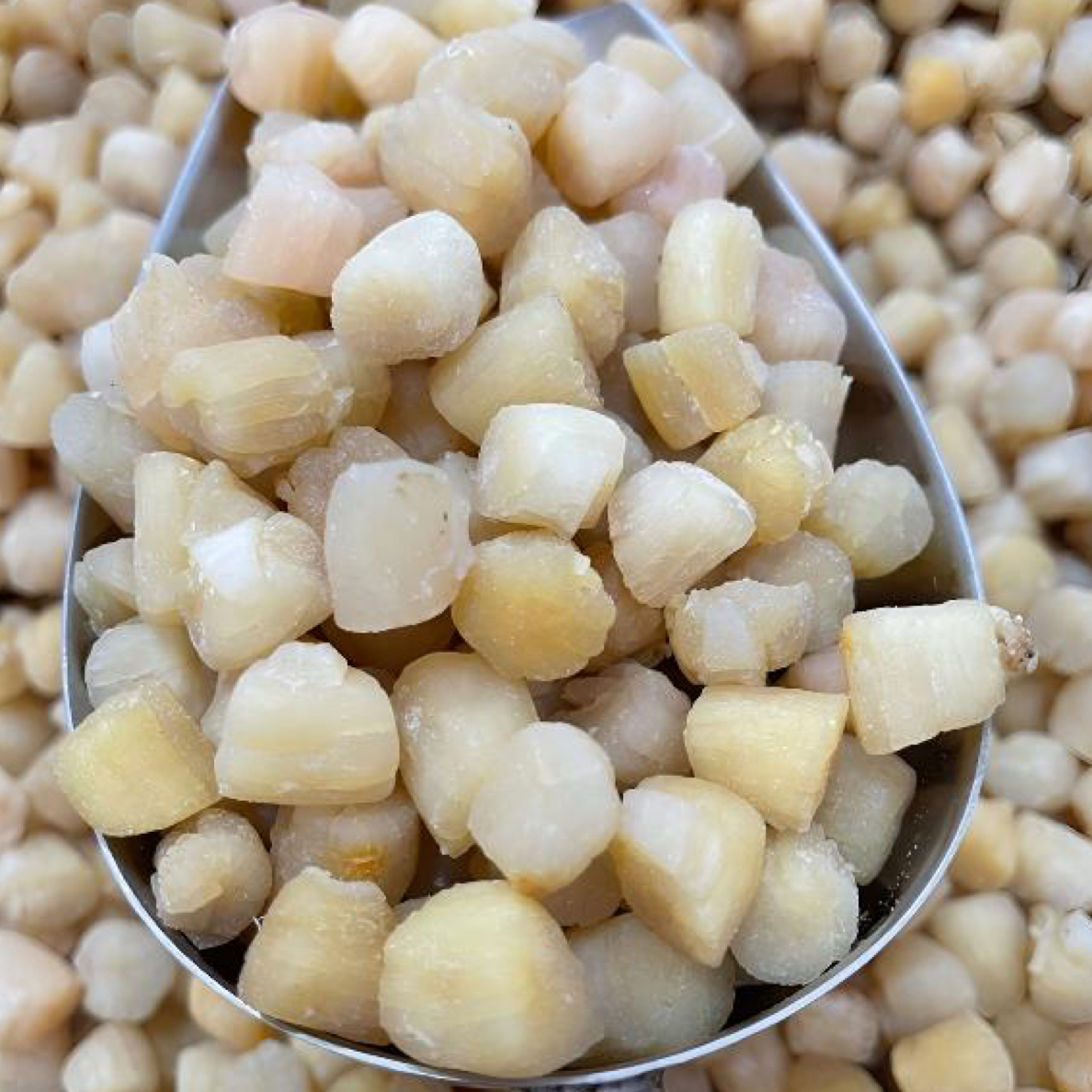 大连瑶柱干贝 鲜甜美味  儿童营养食品 顺丰包邮