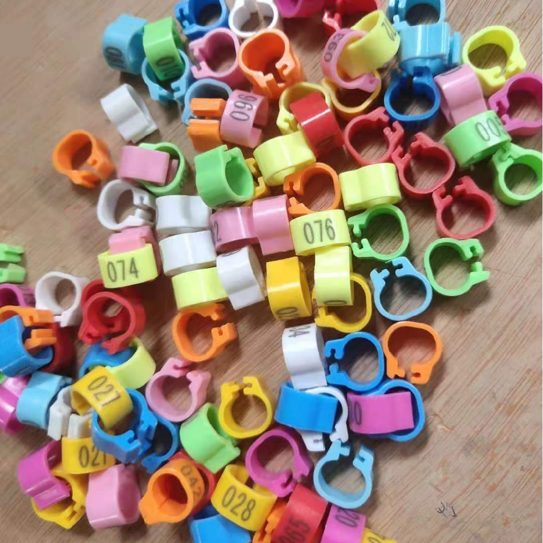 弥亚鸽子信鸽赛鸽用品开口识别数字记号环塑料脚环足环彩色卡环