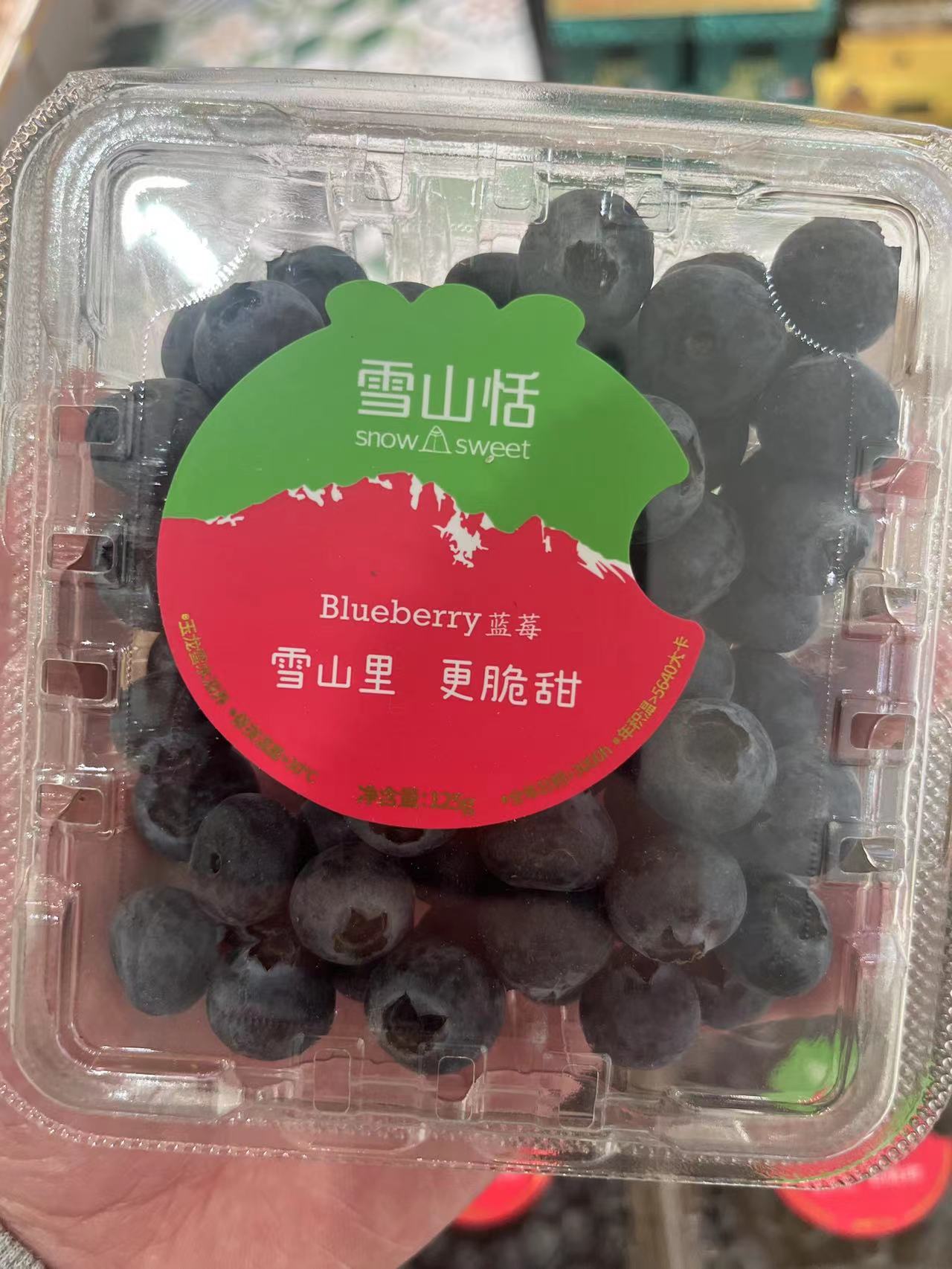 【雪山恬蓝莓】纯甜不酸 饱满圆润 汁水四溢 护眼神器 新鲜水果（125g盒装）