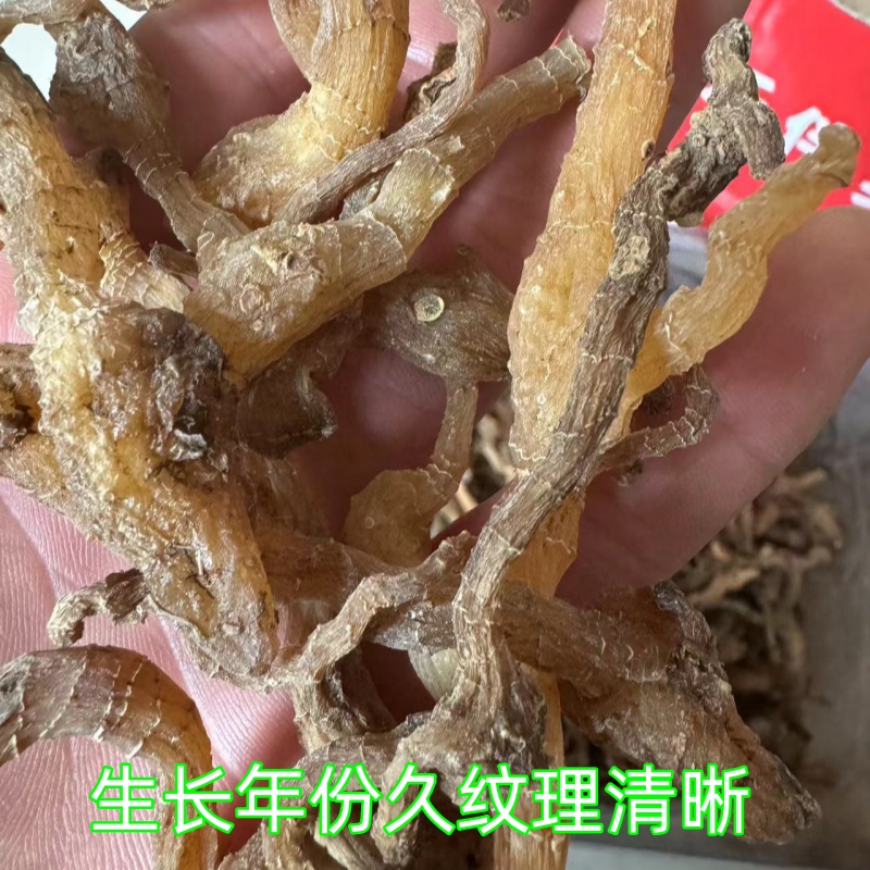 玉竹非种植玉竹九叶