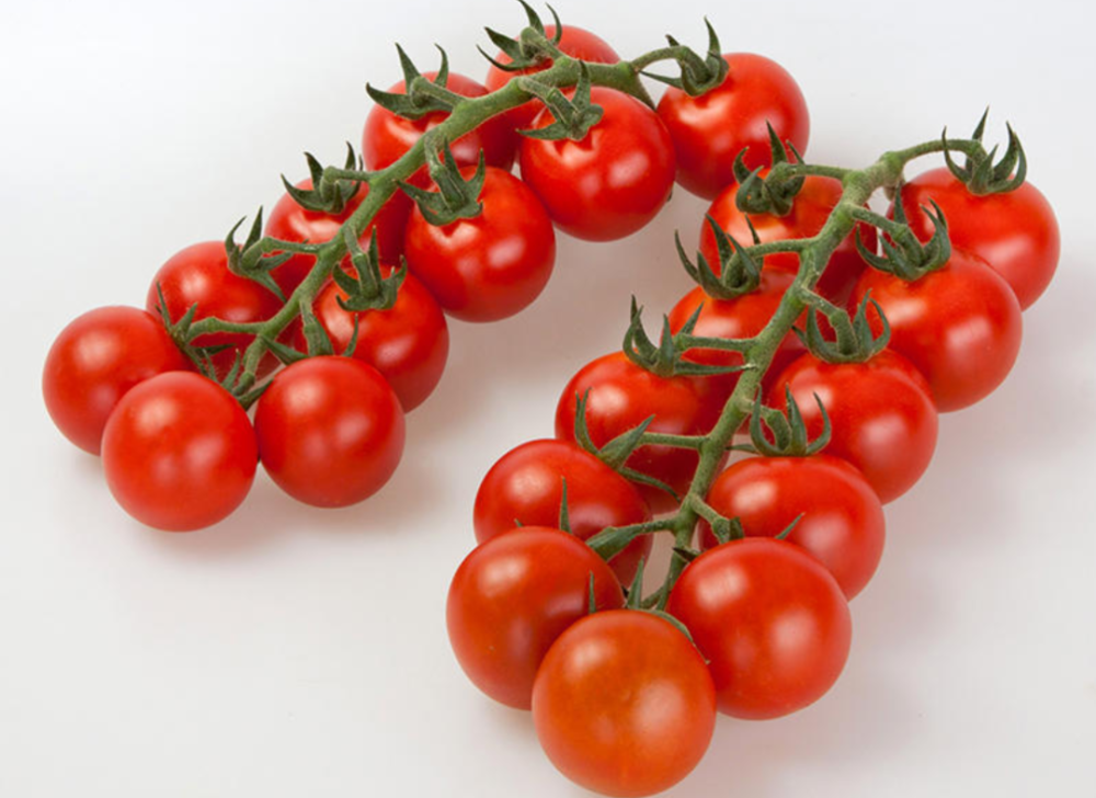 串串西红柿     750克左右