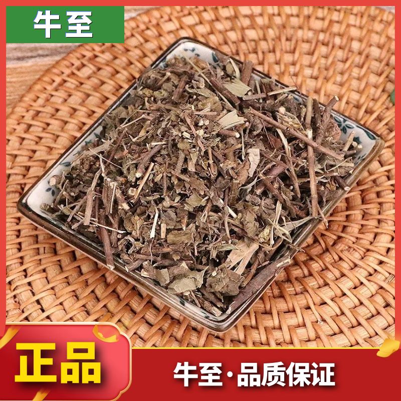 严选优品牛至草土茵陈正品新货牛至天然无硫无添加叶菜250-500g