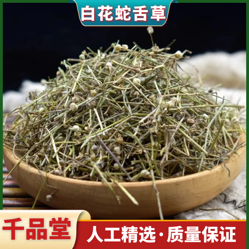 广西野生白花蛇舌草新货晒干切断野生可泡茶泡水叶菜250g500g包邮