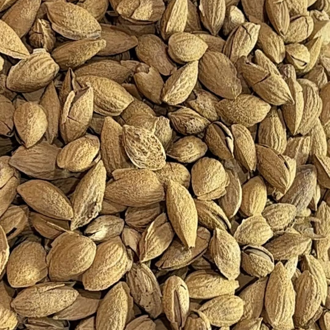 新疆原味 生八旦木