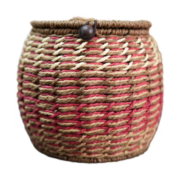 2009年小雅黑茶0801生茶原六堡茶广西梧州特产纯净水发酵养生茶