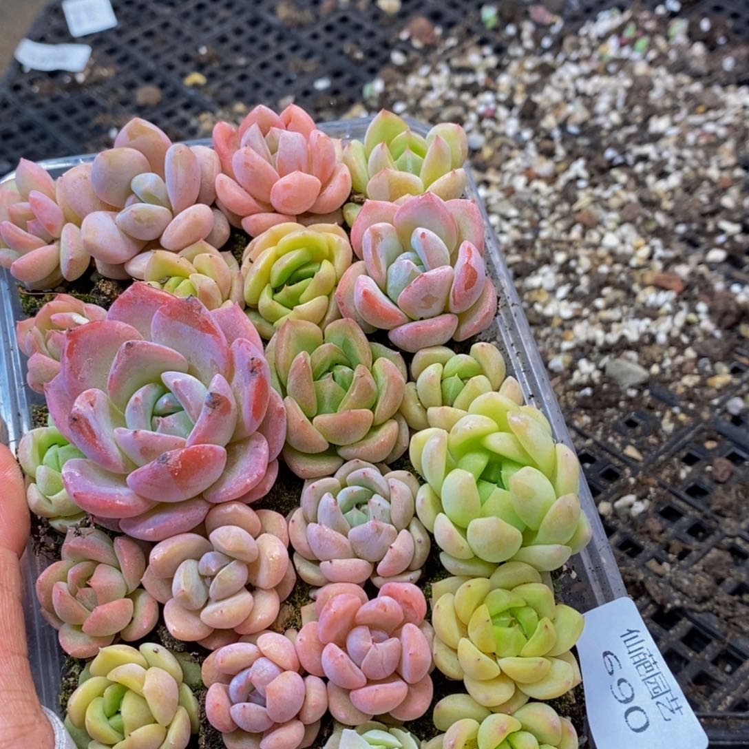690点热的点点滴滴点点滴滴
