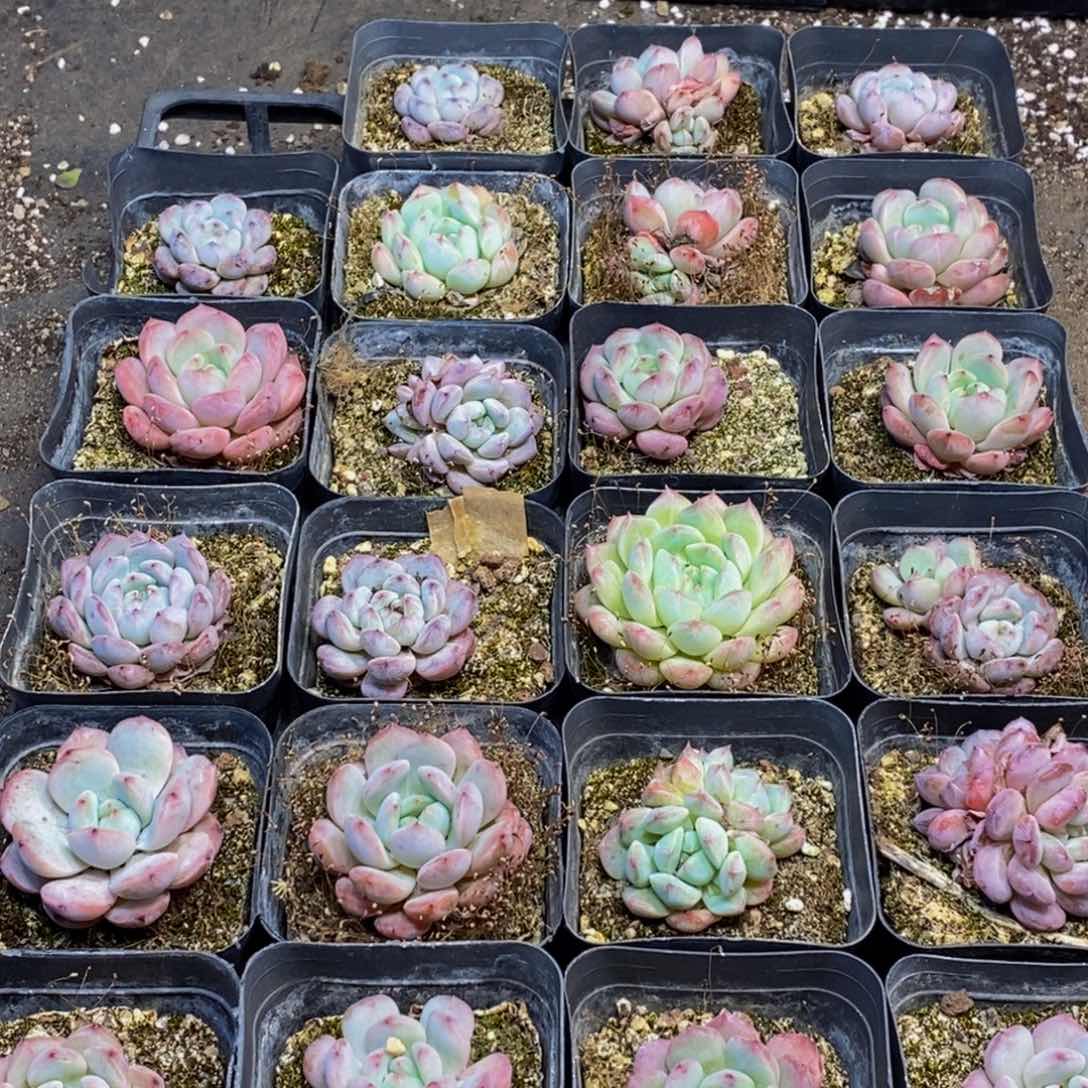 664多人在一起的时候