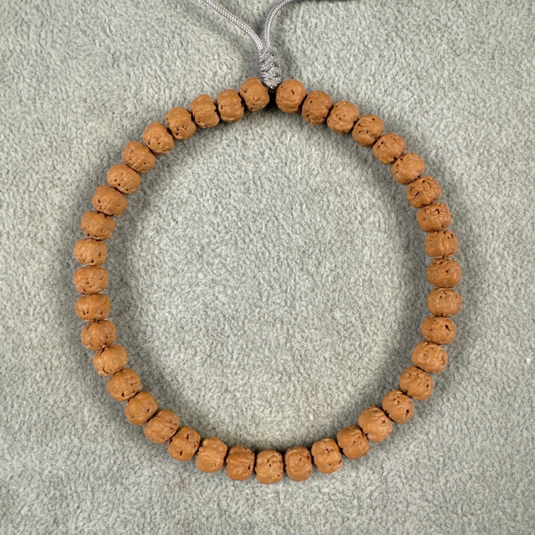 五爪金龙三日红佛手玄武纹小金刚原桩矮桩原籽单圈