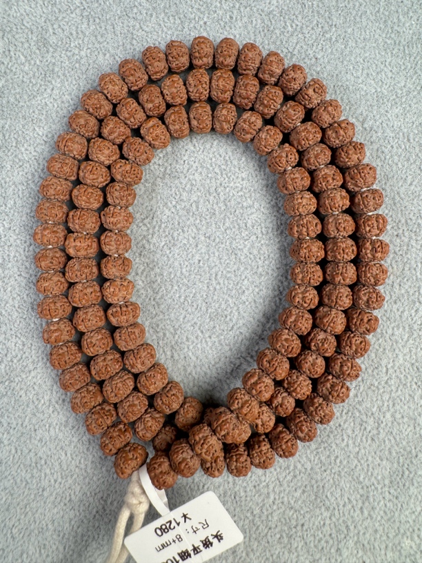 【头货平细长串】老树平细矮桩小金刚菩提长串