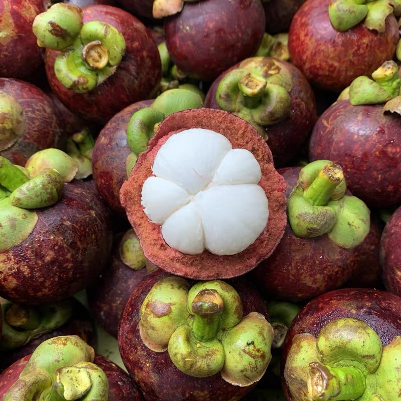 『泰国』麻竹新鲜山竹（3斤/5斤）（酸酸甜甜）