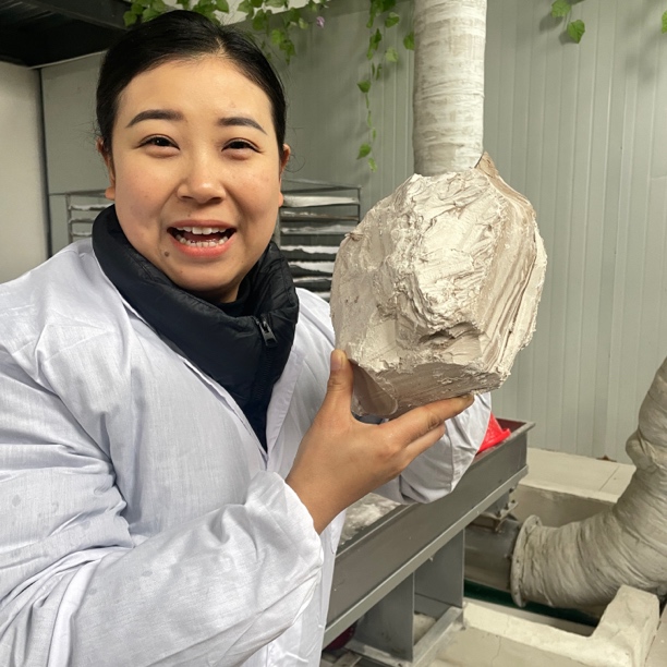 保康野生葛粉柴葛粉 葛根粉500g罐装 