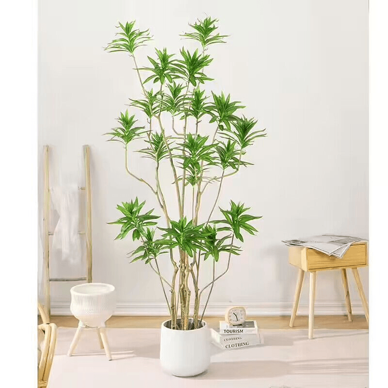 一物一拍 室内观赏型绿植 净化空气吸甲醛 花开富贵