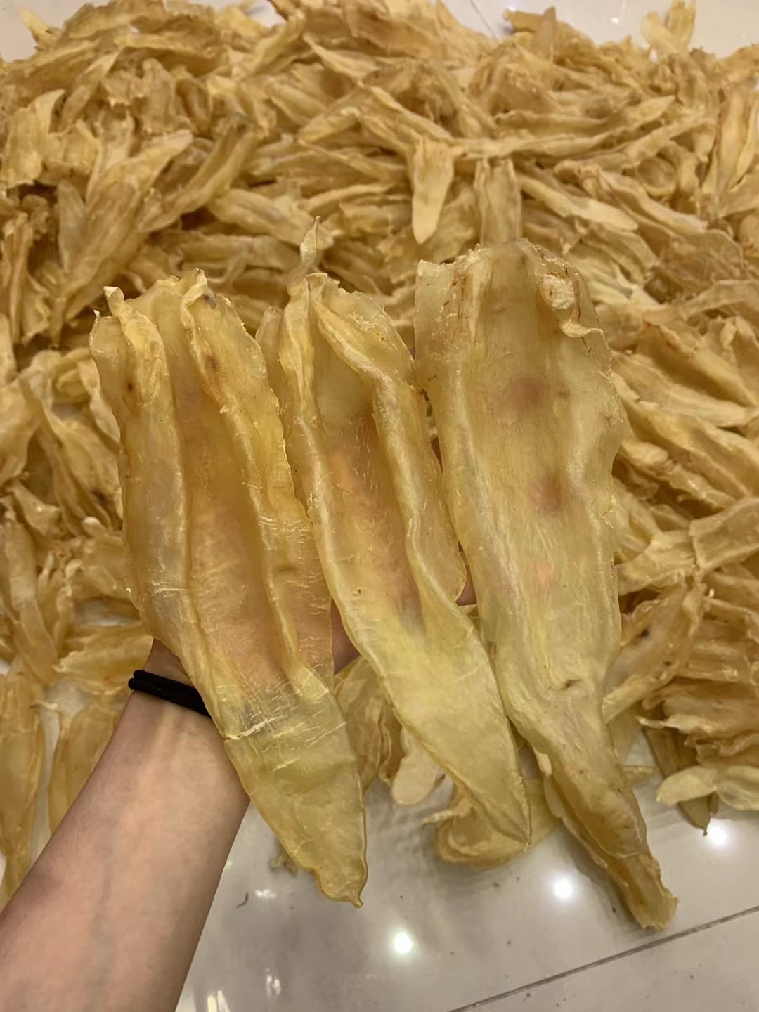 乙等好广东北海鱼胶1-500g