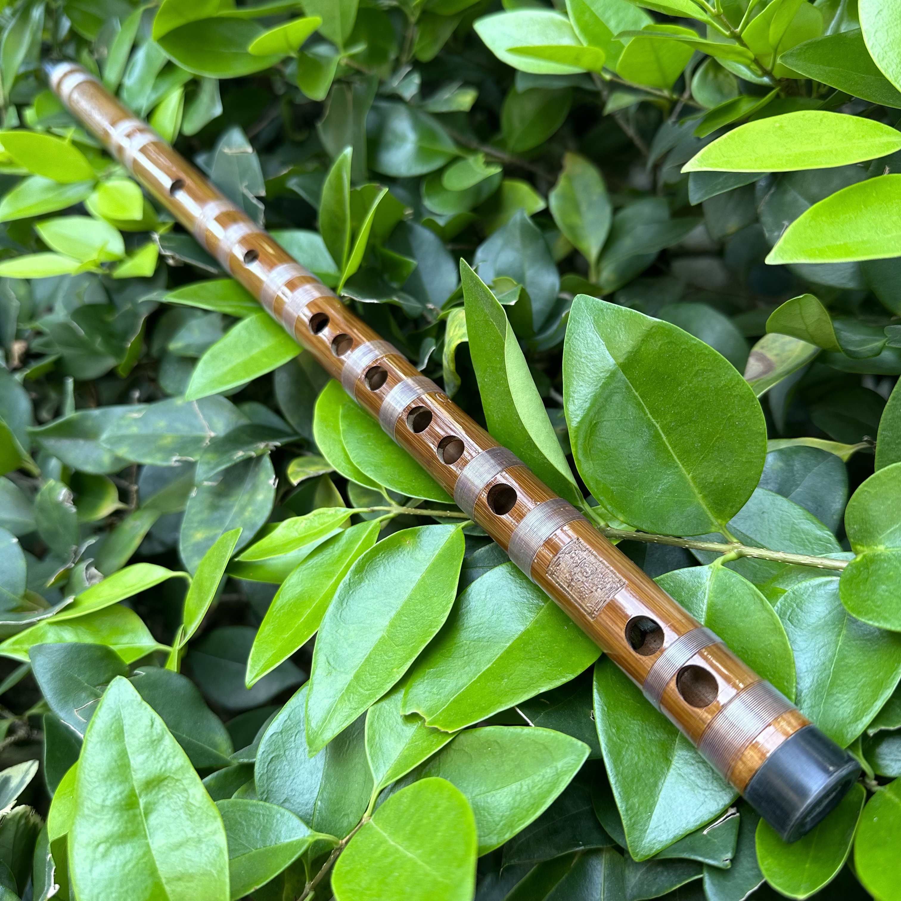 入门笛子学生笛子专业笛子zy-399高音好吹，灵敏度高，物有所值