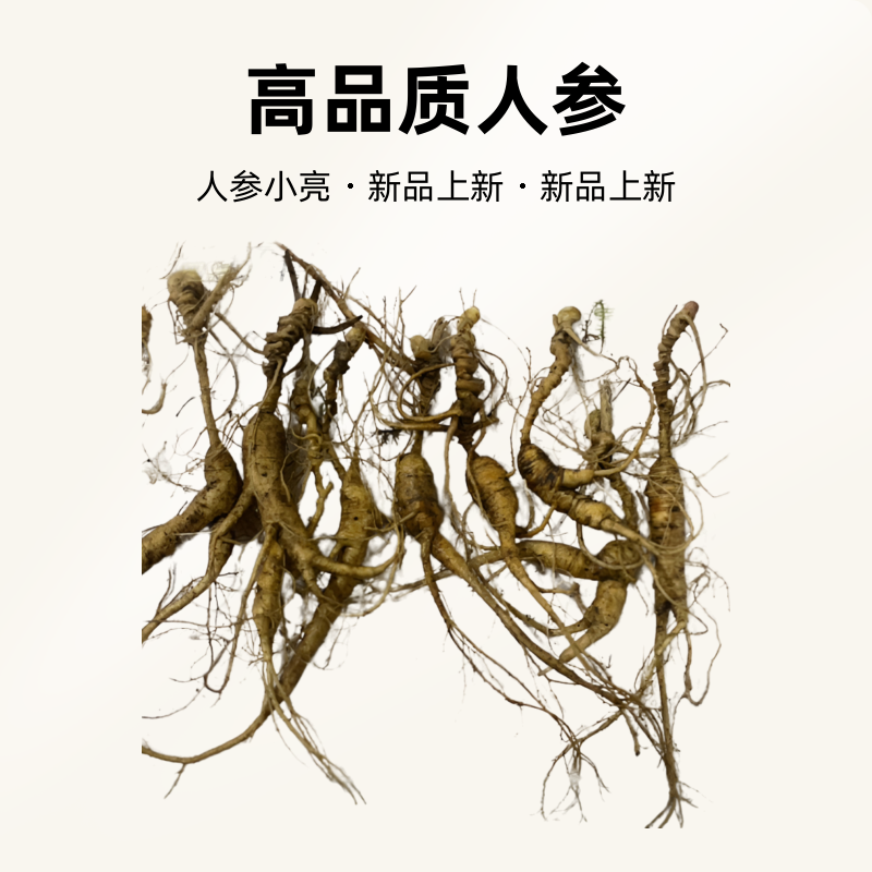 林下参 人参小亮 《临时改价链接》