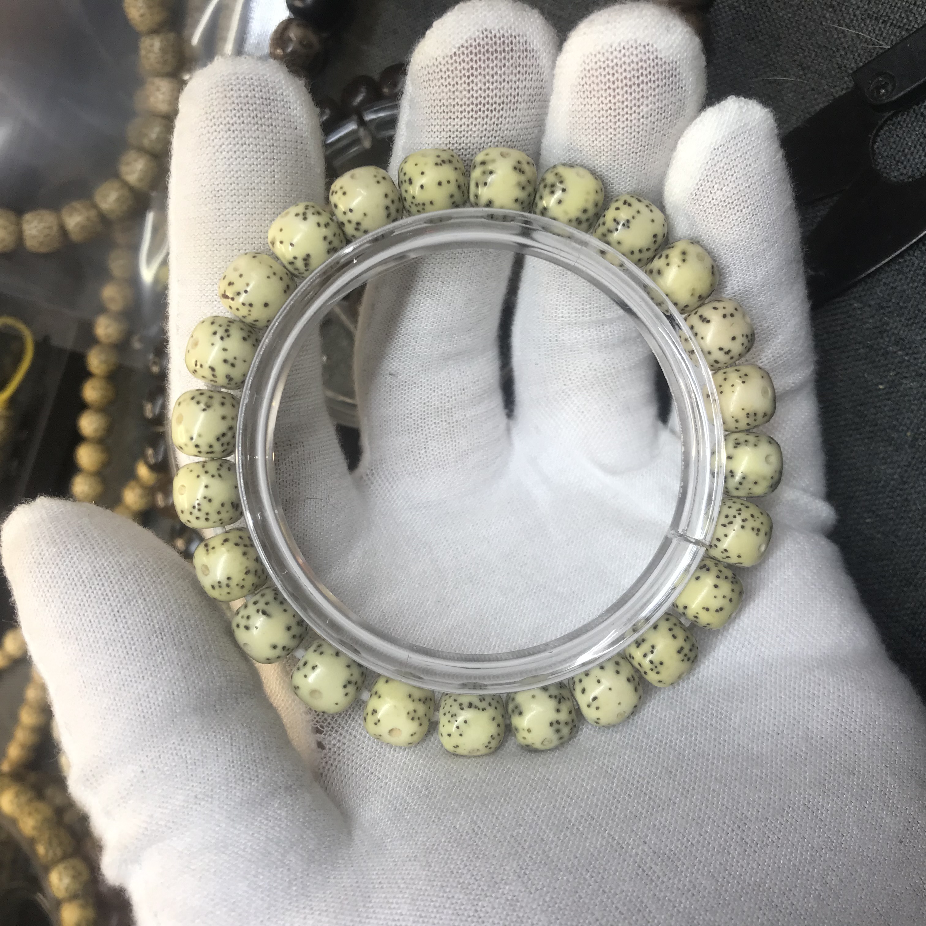 1022号/约9×8骨瓷白一线天小细星（带果皮）海南星月菩提 一物一图