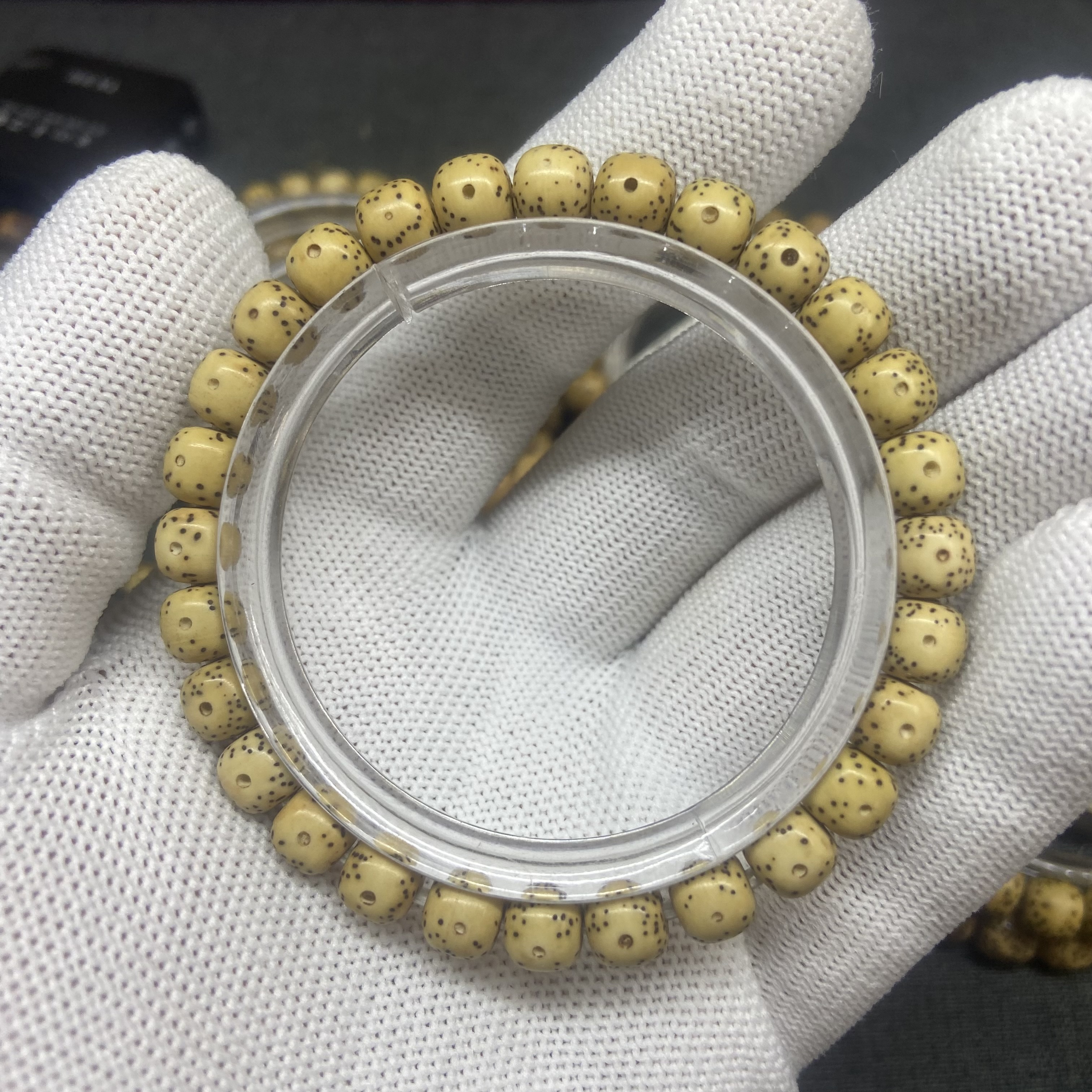 986号/约8×7 鸡油黄大牛眼小星点 海南原生态星月菩提 一物一图