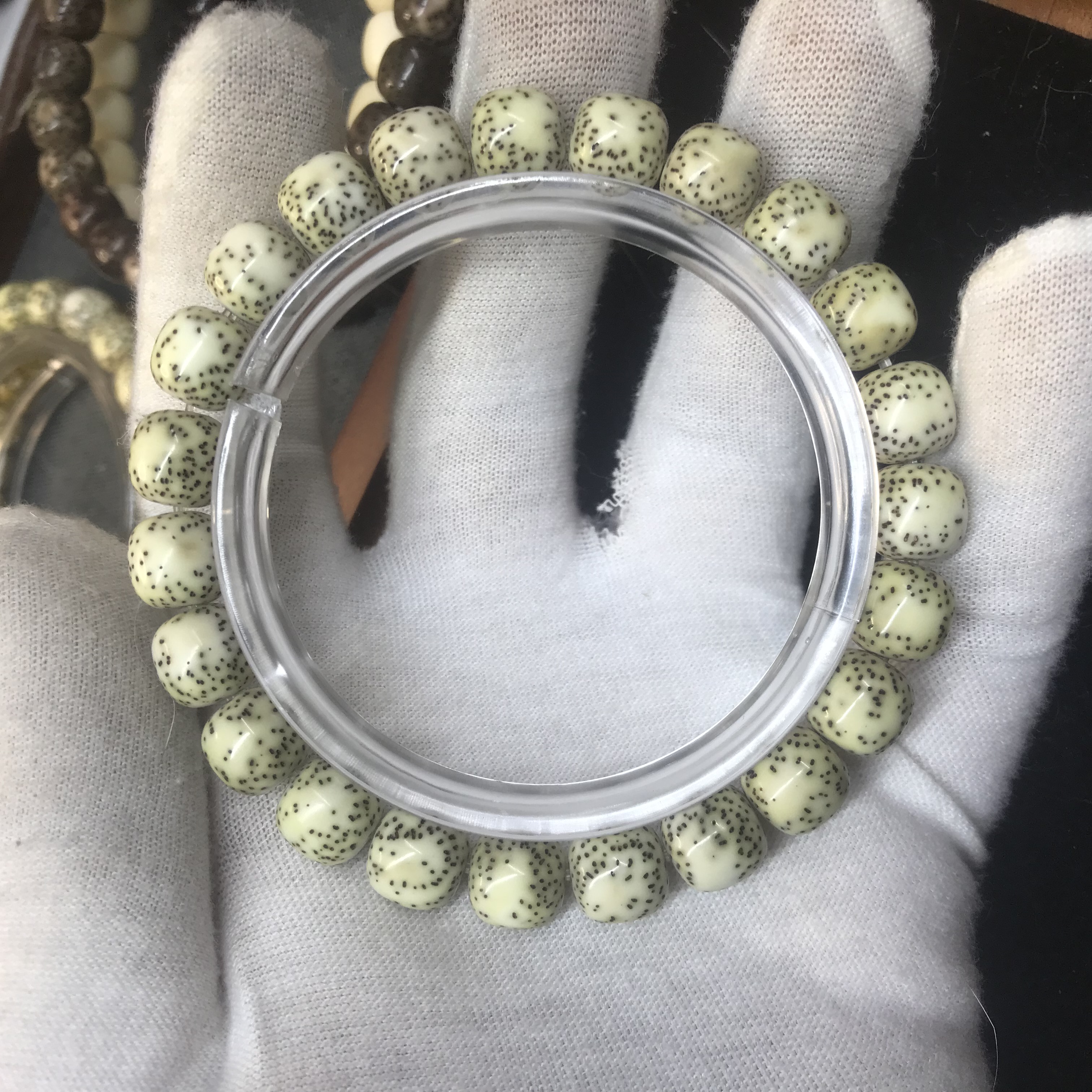 990号/约10×9 骨瓷白侧留白小细星 海南原生态星月菩提 一物一图