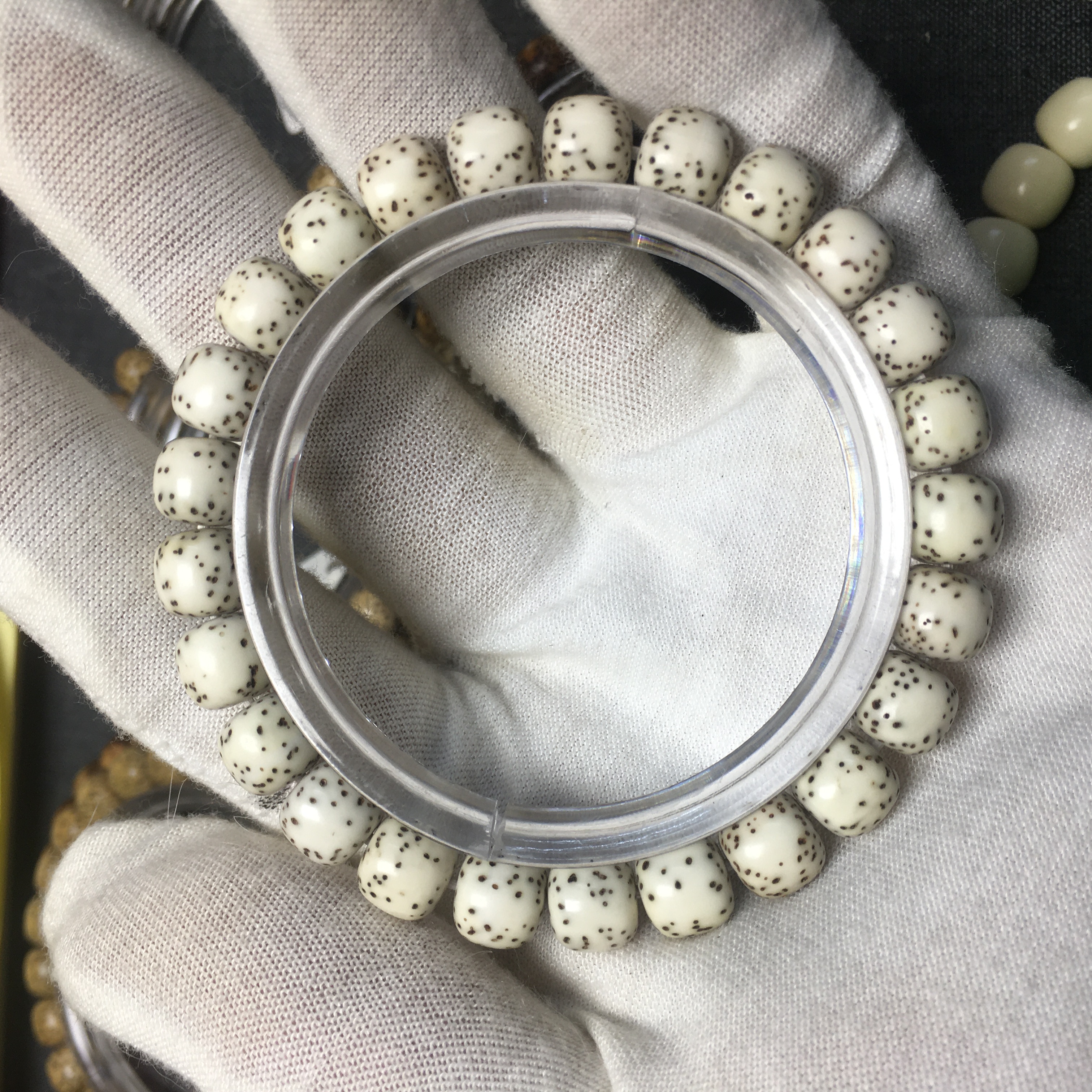 914号/约9×8 原脂白河豚 海南原生态星月菩提 一物一图