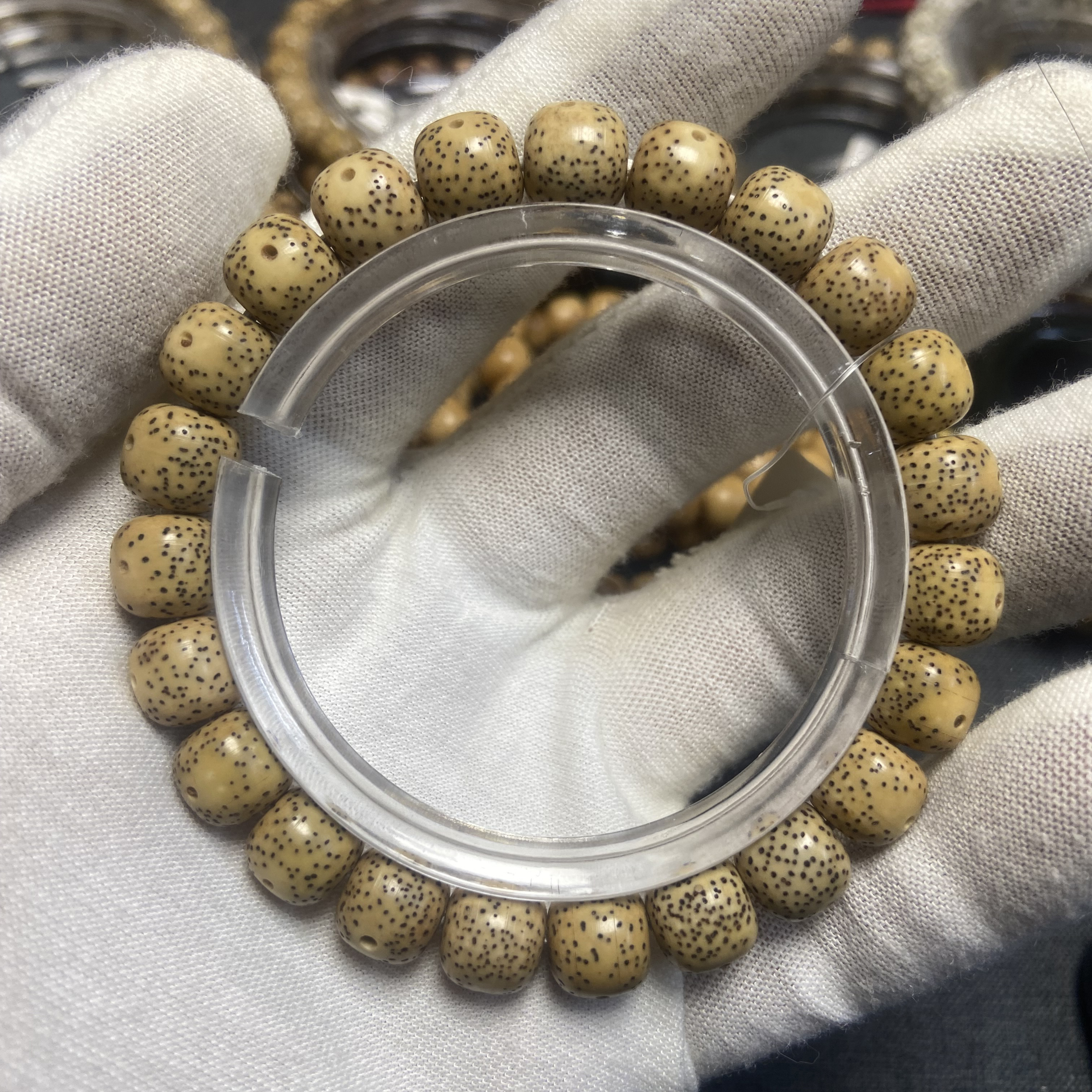 831号/约10×9 鸡油黄月大眼睛小细星海南原生态星月菩提一物一图 