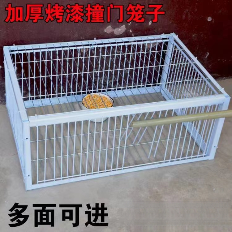 天落笼撞门笼防锈兔笼加密只进不出鸡子笼全自动收鸽笼进鸽子神器