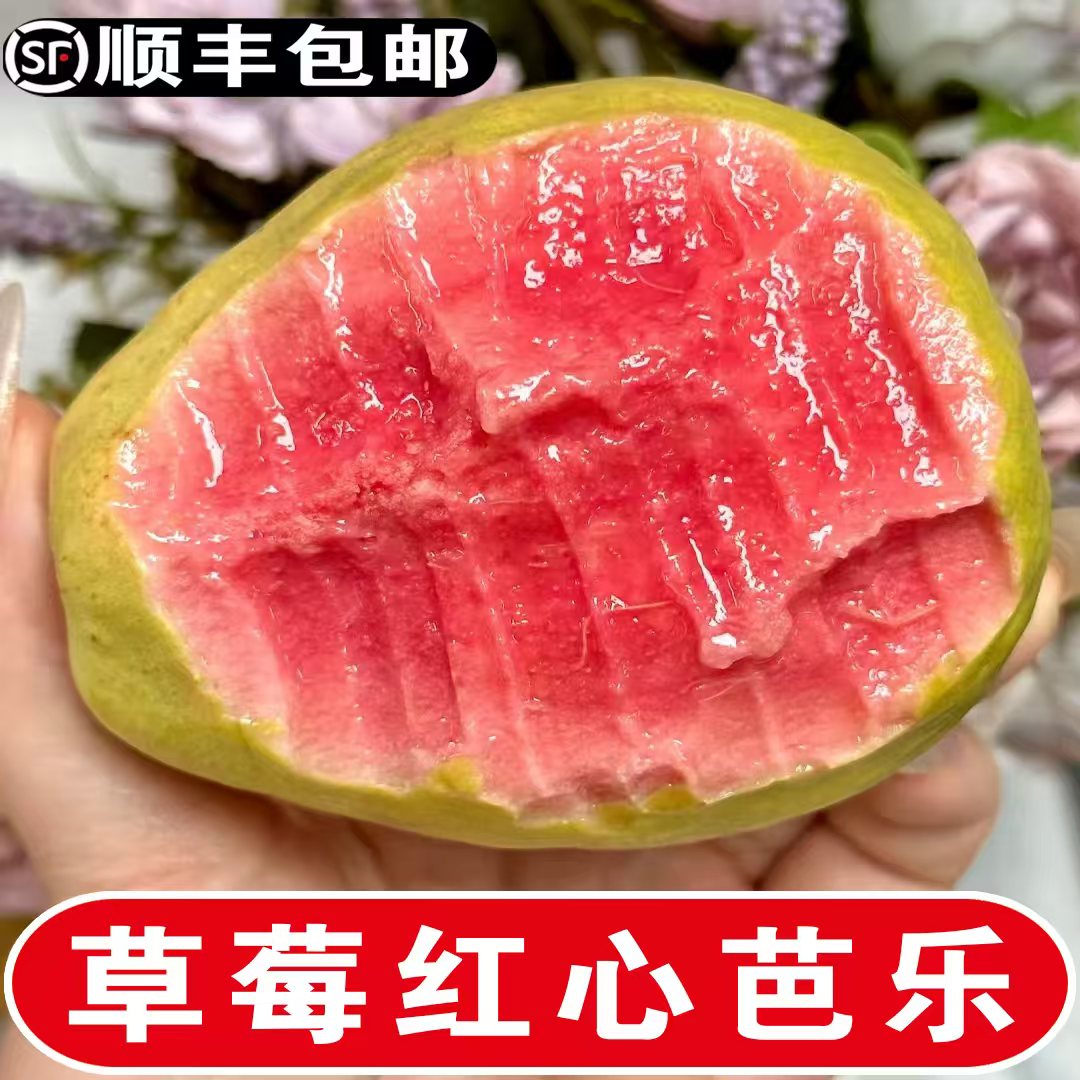 【顺丰包邮】广西红心芭乐新鲜水果红心番石榴芭乐果白心芭乐水果