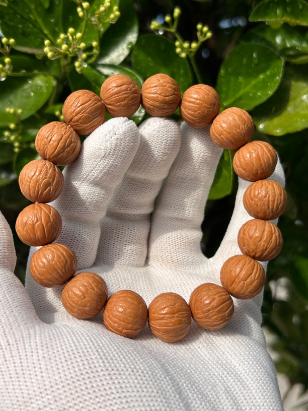 猴头核桃  顶凤 凤羽