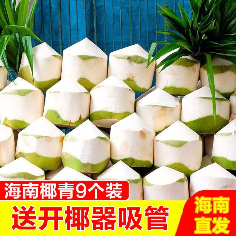 【海南椰子大果发货】海南文昌清甜切皮青椰子孕妇甘甜鲜甜发货青椰