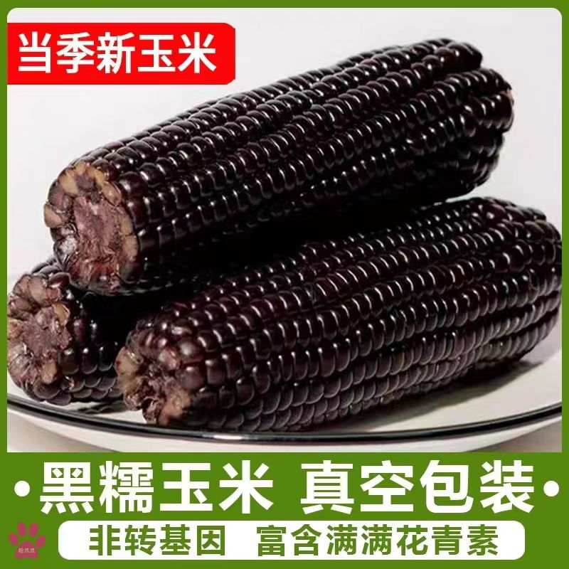 【试吃两根】整箱6斤新鲜采摘真空锁鲜非转黑糯玉米12支装*220-280g