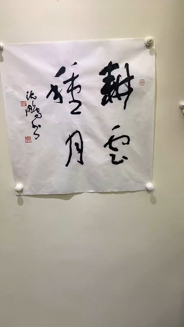 【闪购商品】书法沈老师书法