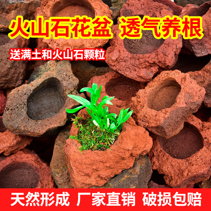 火山石花盆迷你植物多肉兰花盆纯天然浮石养花火山岩花盆透气吸水
