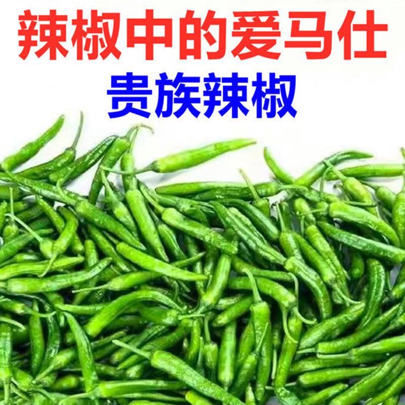 江西樟树港辣椒农家自种现摘现发蔬菜青椒新鲜薄皮枫树辣椒嫩辣椒