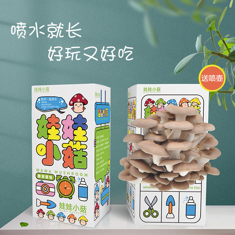 蘑菇菌包蘑菇盒子种植包家种蘑菇黑平菇菌包新鲜菌棒盆栽食用菌
