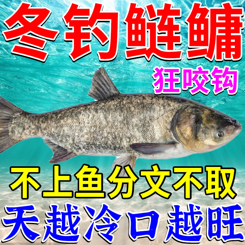 冬钓鲢鳙神饵大花鲢白鲢胖头鱼饵料窝料黑坑胡库野钓鲢鱼爆护饵