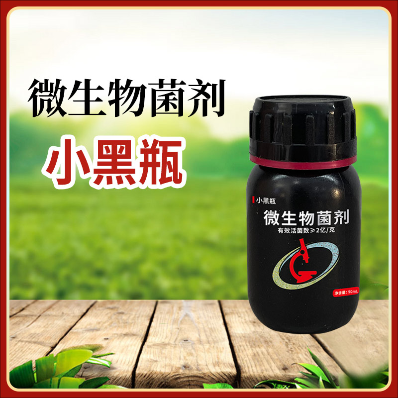 小黑瓶微生物菌剂