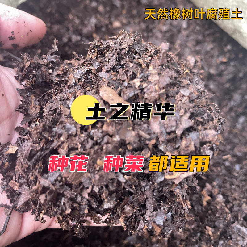 种花种菜蔬菜花卉营养土橡树叶发酵腐熟腐殖土酸性育苗专用营养土