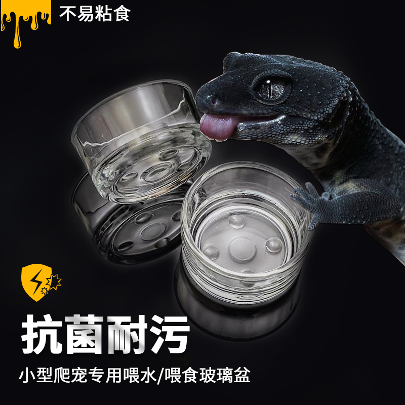爬虫爬宠豹纹守宫玩具蛇蜘蛛食盆水盆玻璃食盆水盆玻璃防逃食盆