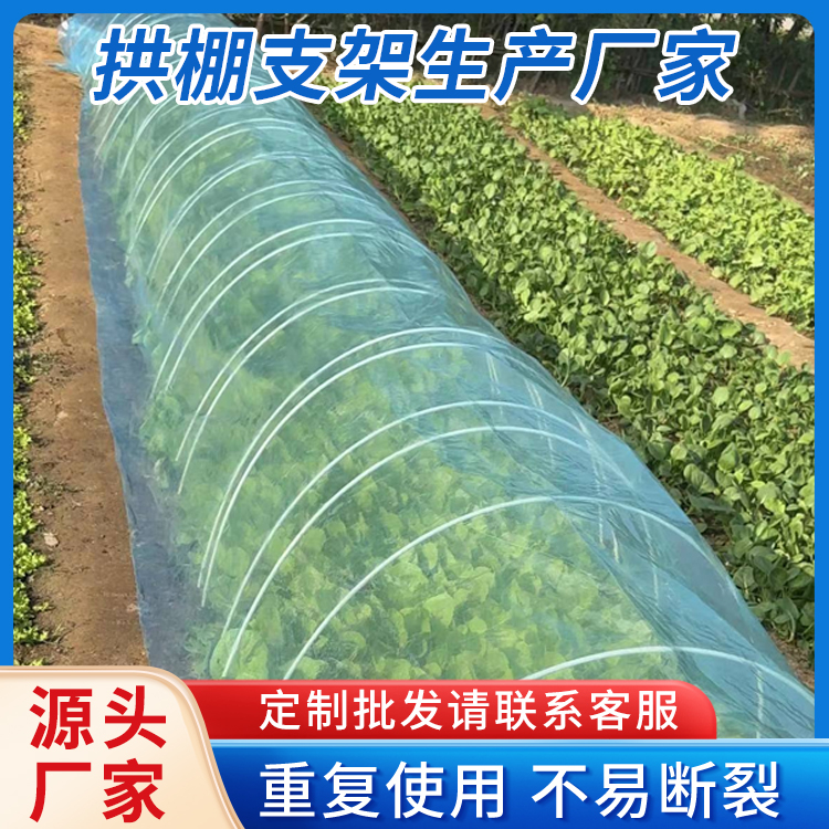 30根实心品质农用拱棚玻璃纤维杆现货菜棚小拱棚育苗棚家用支架