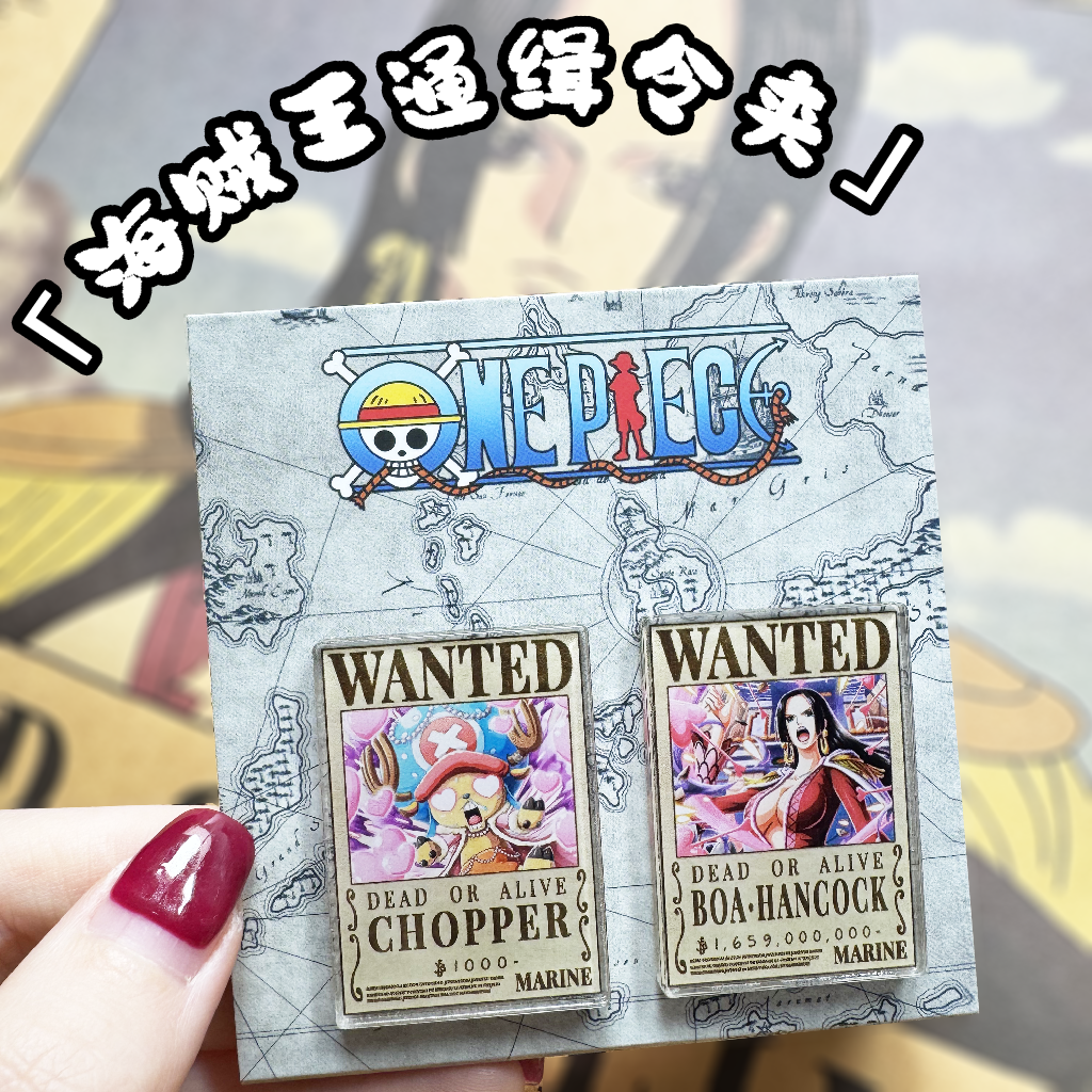 海贼王航海王通缉令夹