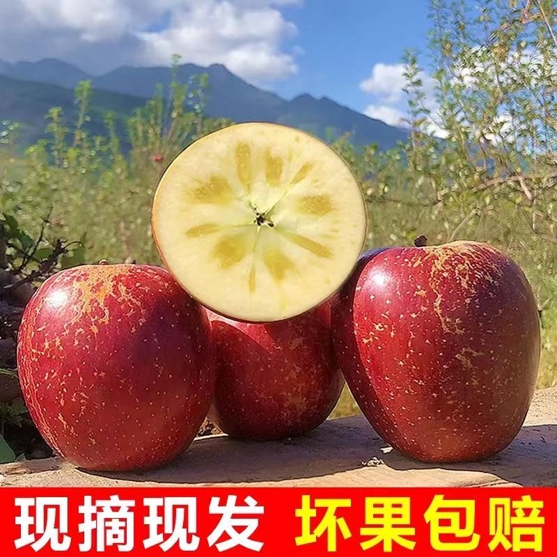 云南昭通丑苹果正宗冰糖心苹果新鲜水果当季整箱孕妇红富士苹果