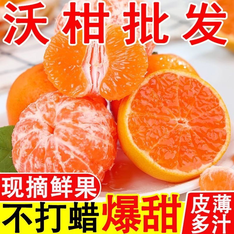 【超低价】正宗广西武鸣沃柑1/5/9斤应季新鲜水果当季橘子整箱批发